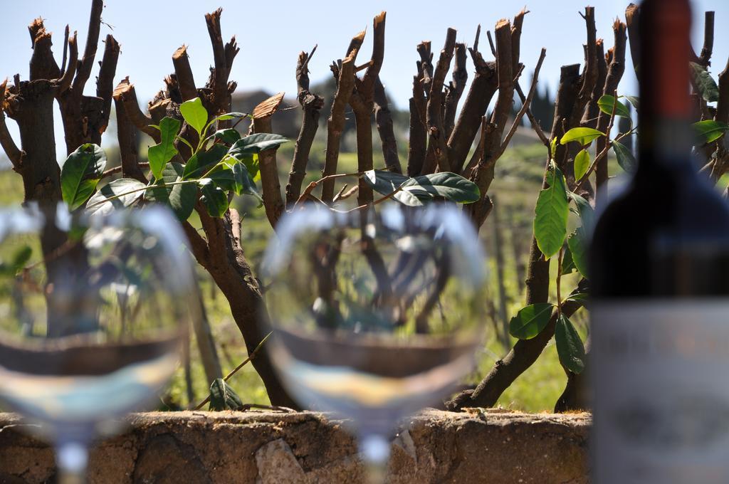 Castello Di Selvole (Adults Only) Guest House Vagliagli Ngoại thất bức ảnh